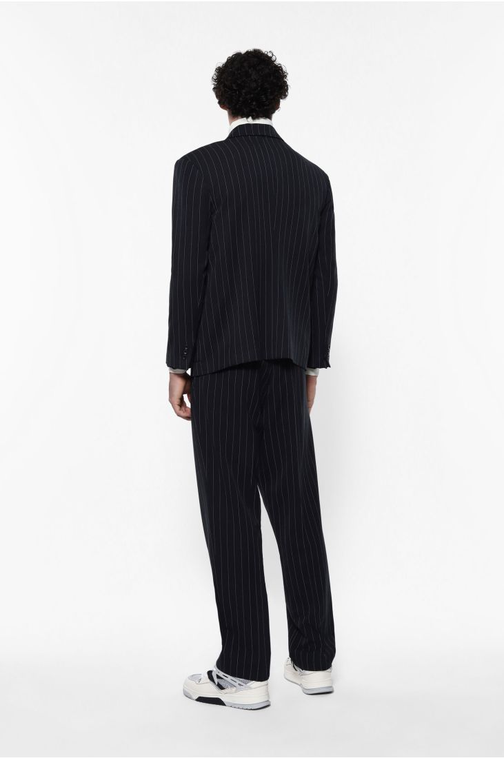 Trousers with pleats and vertical stripes